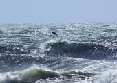 Windsurfer on Pistol River 4