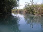 Arroyo que conecta Estero de Chac con la Laguna Milagros