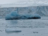 Nordenskjold ice floe­