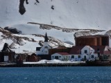 Greater Grytviken­. The muse­um is at lower right.­