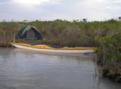 Campamento en el mangle perdido en la Laguna de las 5 Islas