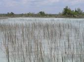 Vista de una pequeña laguna en la zona de los Canales del Norte