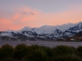 Sunset at King Edward Point