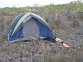 Campamento entre el mangle rojo enano