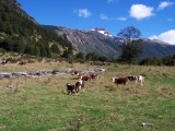VALLE DEL RÍO MOGOTE