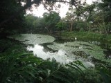 Jardin Botanico, Medellin