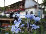 Pueblito paisa