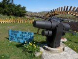 Whale harpoon gun. The skeletons were reconstructed from real whale bones by an old Falklander mechanic who has devoted his yard to the anti-whaling campaign.