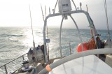Thrashing About in the South Atlantic­