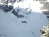 DSCF8405