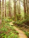 Olympic National Park - Sand Point Trail