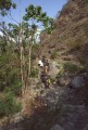 5 treking