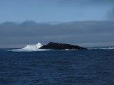 Fortuna Bay entrance