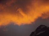 DSCF8175