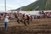 Bucking Bronco at Haley Rodeo