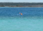 Alejándome de Bacalar rumbo a la Laguna Mariscal