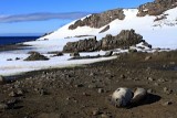 IMG_6443
