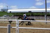 Pennington Cty 4-H Rodeo in Wall, SD 2