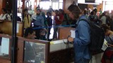 DSC00248