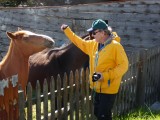 Alex Sr. and hors­es­