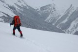 DSC_0493.jpg
