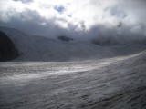 DSCN0442
