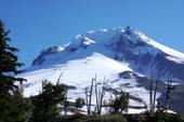 Mt. Hood with Skiing in July!