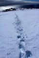 IMG_6375