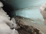 DSCF8803