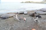 Bonanza for Birds