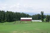 Barn 2