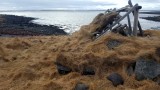 ruins of a cottage, Hraunhafnatangi