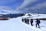IMG_6024