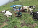 entre vacas­­­­­­­­­­­­­­­­­­­­­­­­­­­­­­­­­­­­­­­­­­­­­­­­­­­­­­­­­­­­­­­­­­­­­­­­­­­­­­­­­­­­­­­­­­­­­­­­­­­­­­­­­­­­­­­­­­­­­­­­­­­­­­­­­­­­­­­­­­­­­­­­­­­­­­­­
