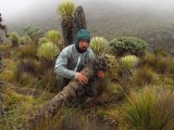 triste por la muerte de un frailejon