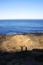Hamilton Shadows at Mendocino Headlands