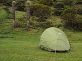 Acampando en el páramo