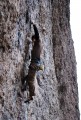 "Los trapecistas" 7B en Las Chilcas