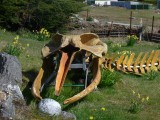 The old man says it takes him about two years to piece together a whale skeleton.