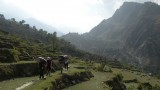 DSCN6592