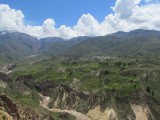 IMG_0790