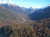 BOSQUES DE LENGAS Y COIGUES