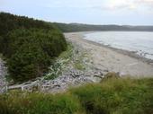 Sand point