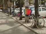 Ciclas por doquier