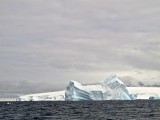IMG_1560