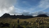 DSCF0416