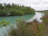 Canal en la Laguna Mariscal