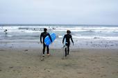 Let's Shred!