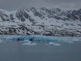 Ice floes­ off Nordenskjold