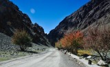Autumnal colours on the road to Tso Moriri and Korzok